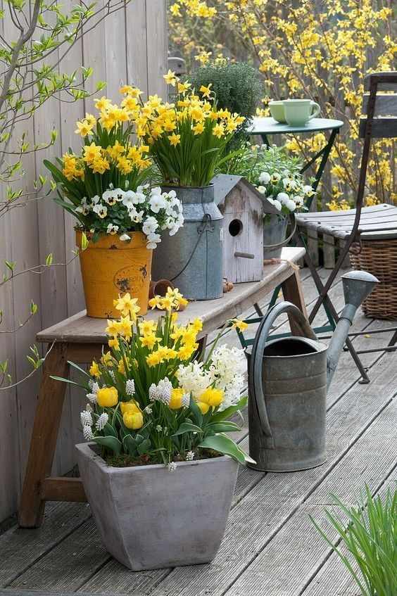 container-garden-front-yard-landscaping-ideas-for-small-homes