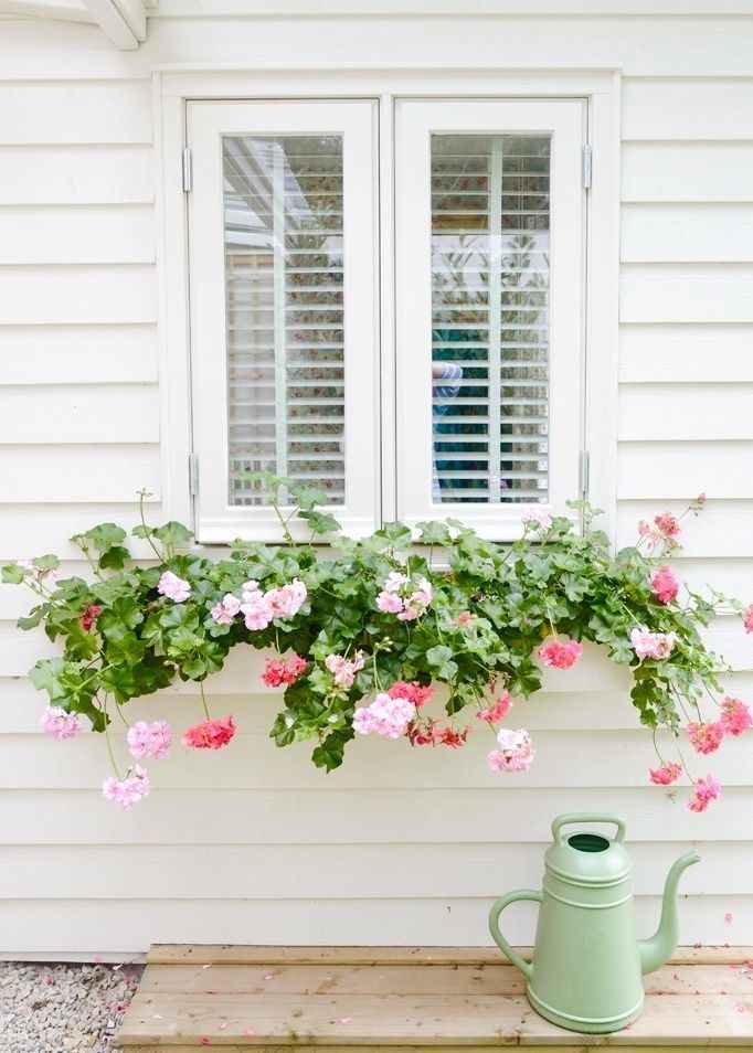 window-boxes-front-yard-landscaping-ideas-for-small-home