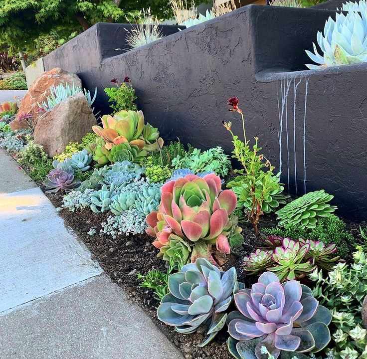 succulent-flowers-coastal-patio-decor-ideas