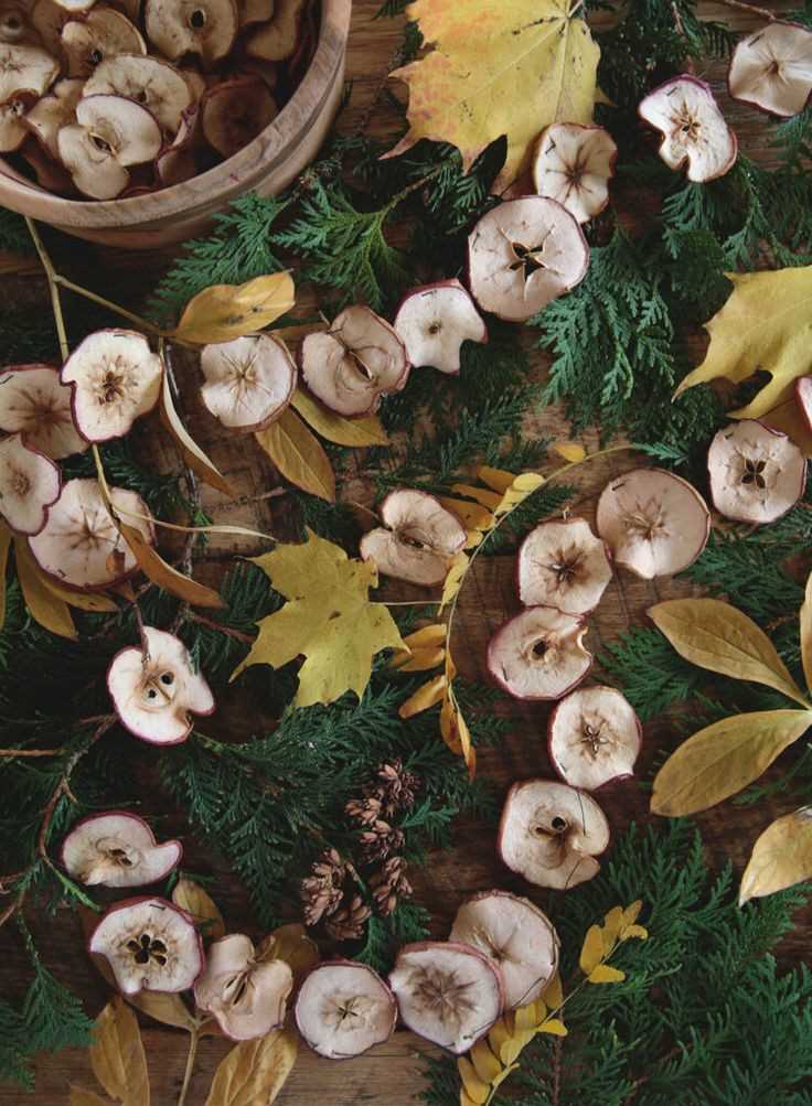 Apple Garland 