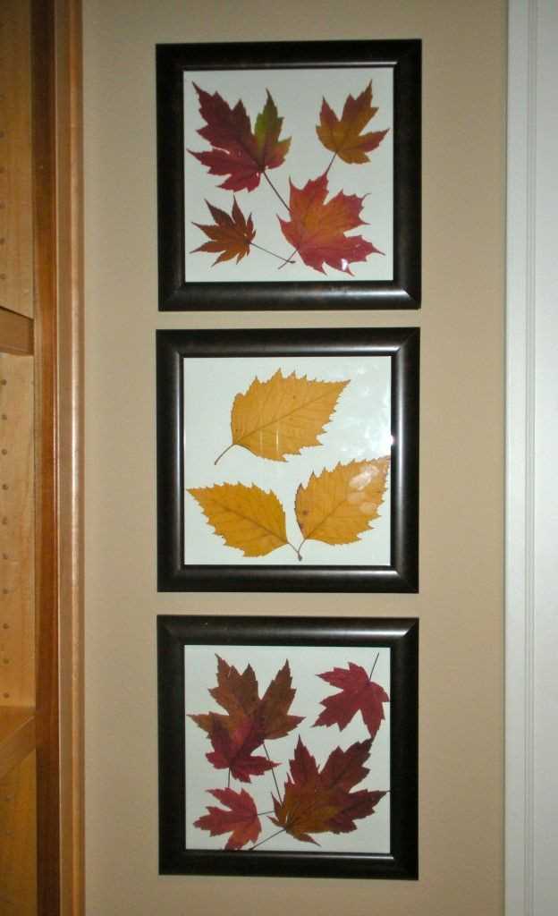 Pressed Leaf Wall Art 