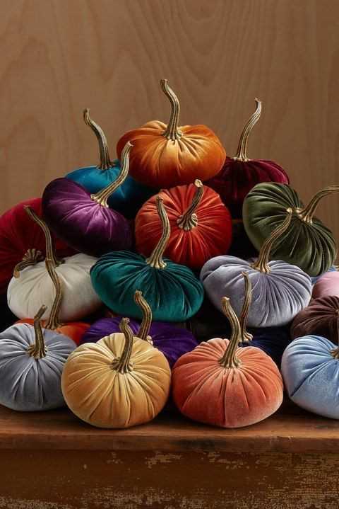 Velvet Pumpkins 