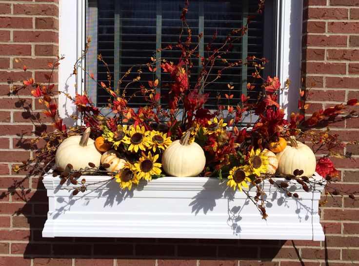 window-box-arrangement