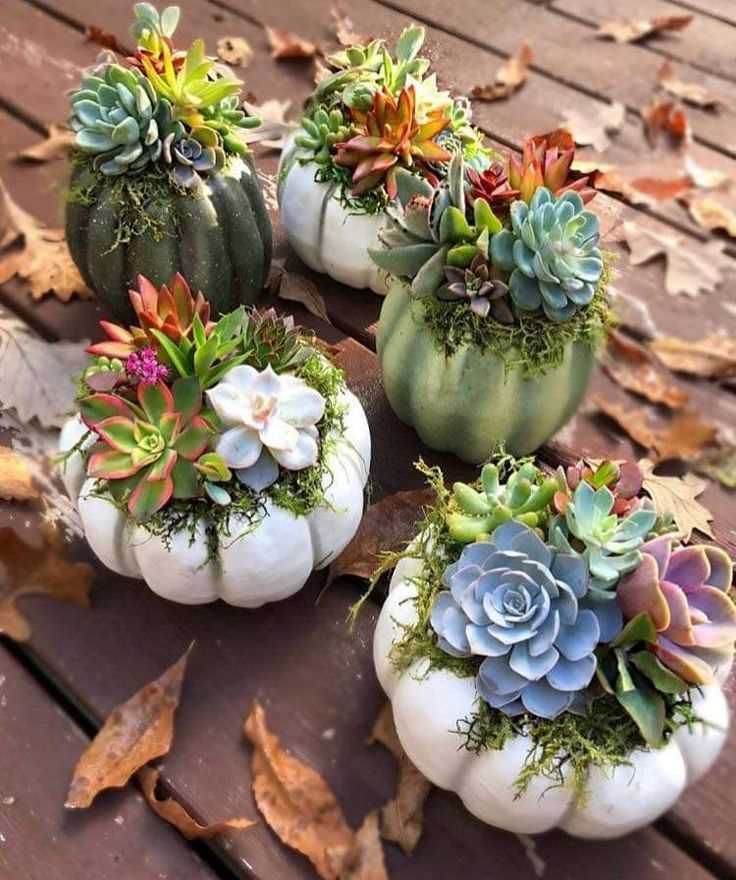 gourd-and-succulent-planter-fall-floral-arrangement