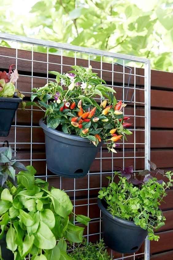 hanging-herb-garden