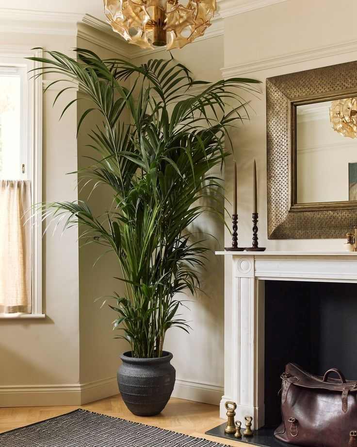 palm-leaf-plants-egyptian-living-room-decor-ideas