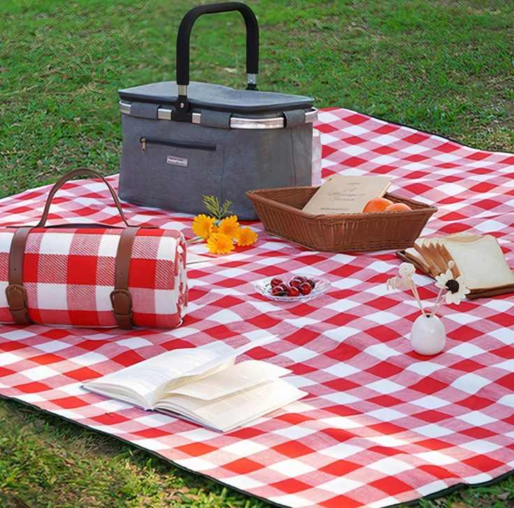 compact-picnic-blanket-camping-organization-ideas