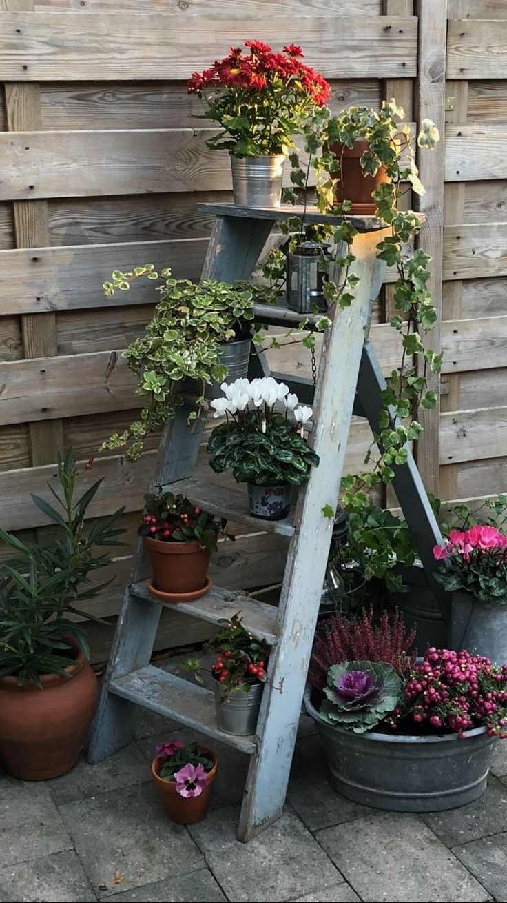 repurposed-ladder-plant-stand-backyard-renovation-ideas