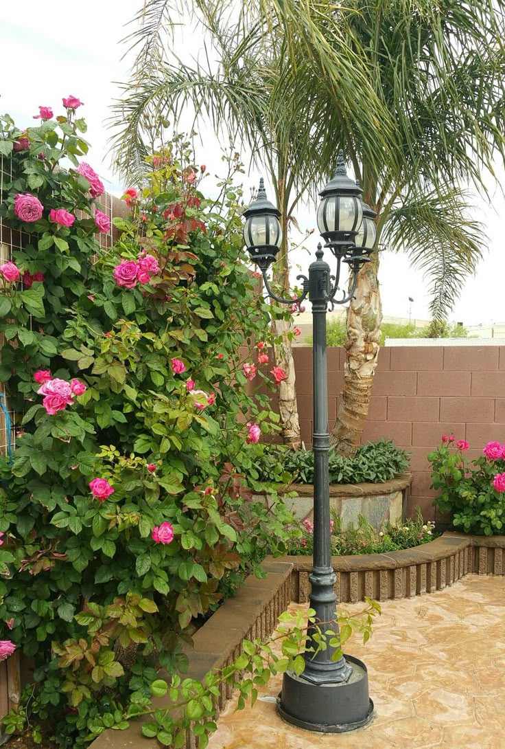 solar-powered-lights-backyard-renovation-ideas