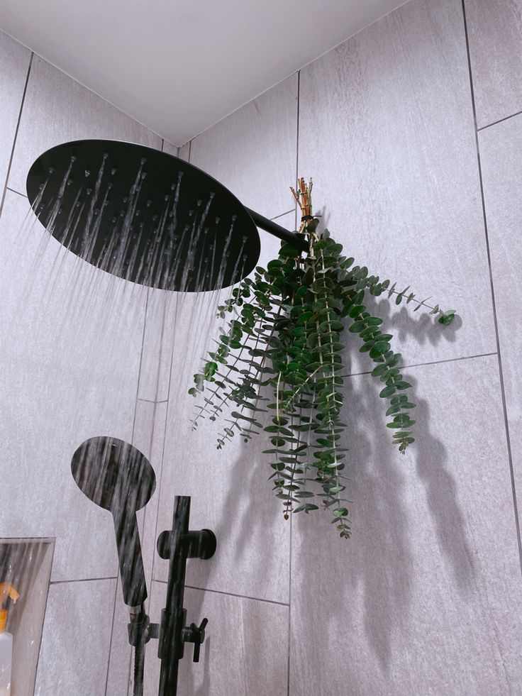 hang-eucalyptus-in-the-shower