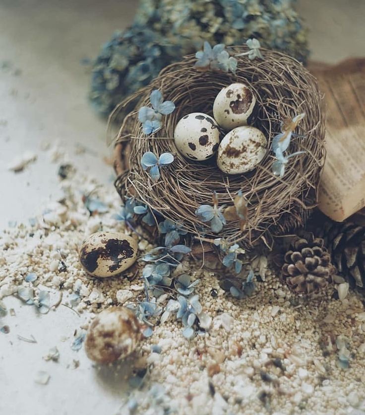 birds-nest-centerpiece-with-chocolate-eggs-easter-table-setting-ideas