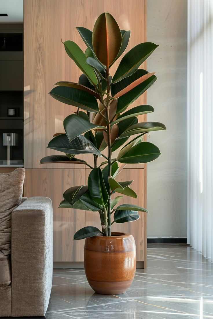 add-greenery-decor-hacks-to-make-your-home-feel-expensive