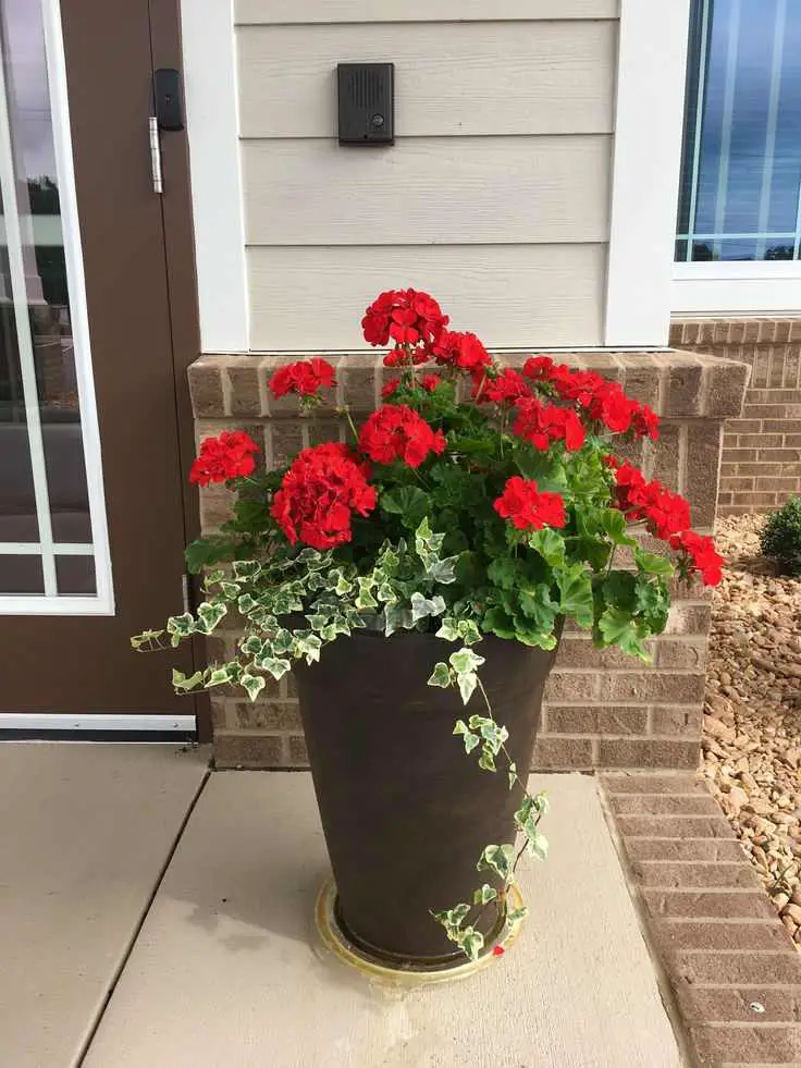 display-potted-plants-ways-to-add-rustic-charm-to-your-front-porch