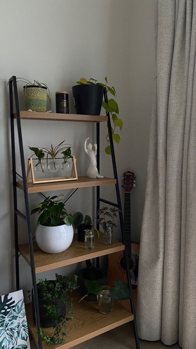 ladder-shelves