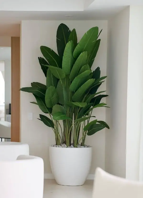 incorporate-large-floor-plant-houseplant-styling-tips