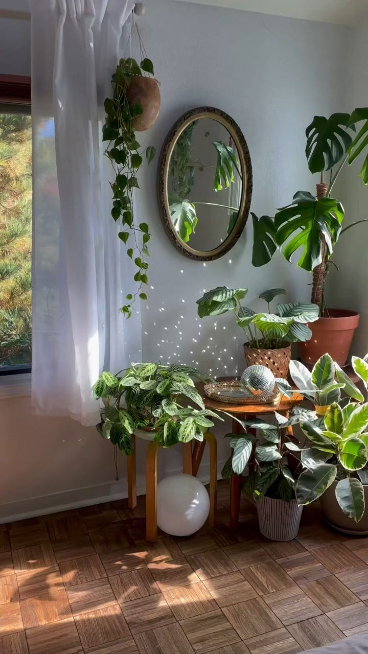 create-a-focal-point-houseplant-styling-tips