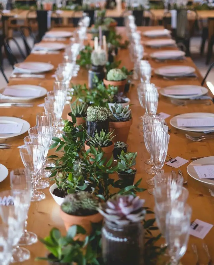 succulent-table-runners