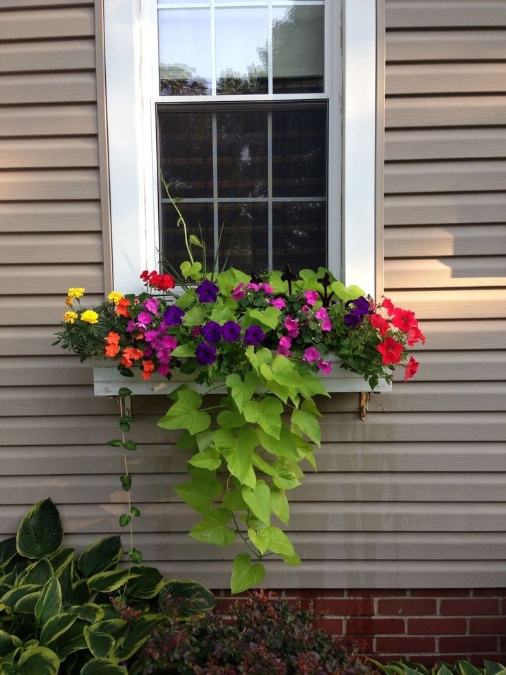 window-boxes