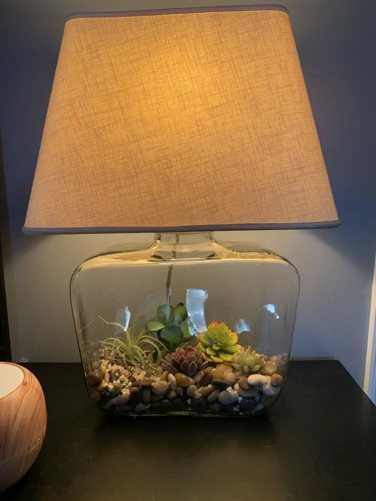 succulent-lampshades