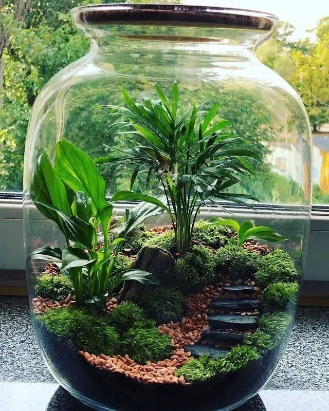 opt-for-plant-terrariums-houseplant-styling-tips