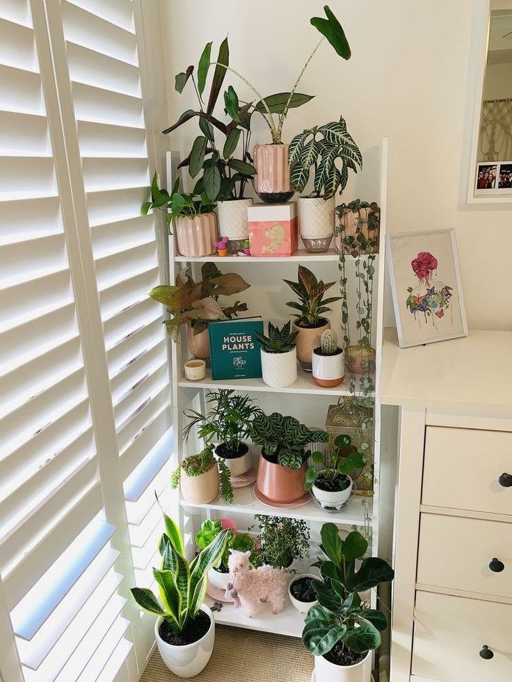 shelving-units-ways-to-style-plants-in-a-small-apartment