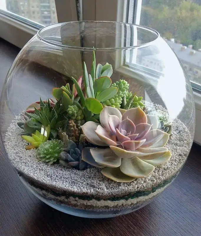 succulent-terrariums-ways-to-decorate-with-succulents