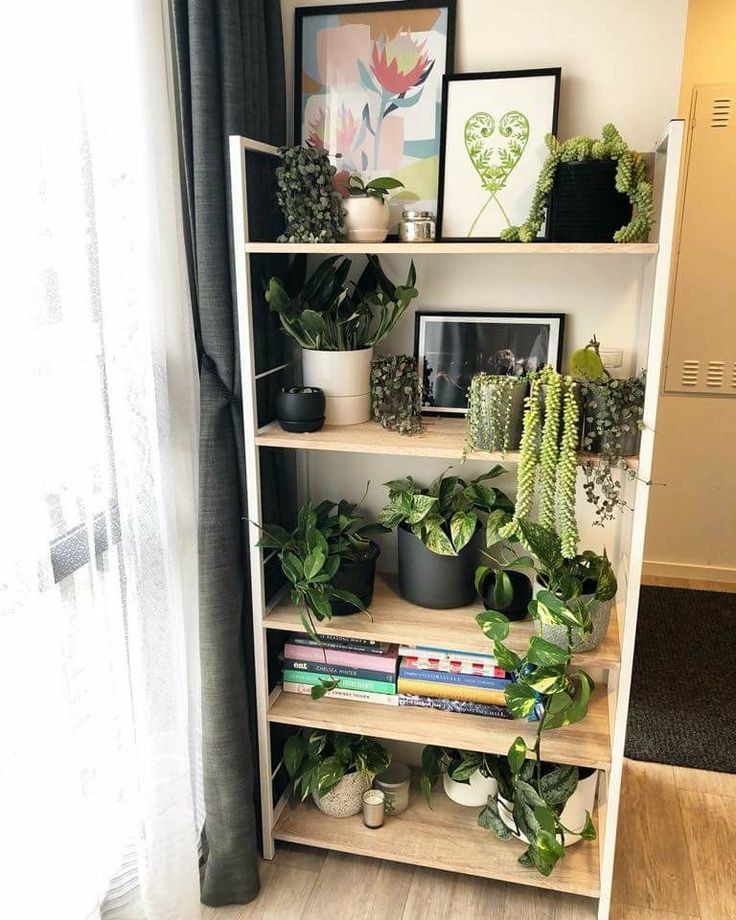 incorporate-plants-into-bookshelves-houseplant-styling-tips