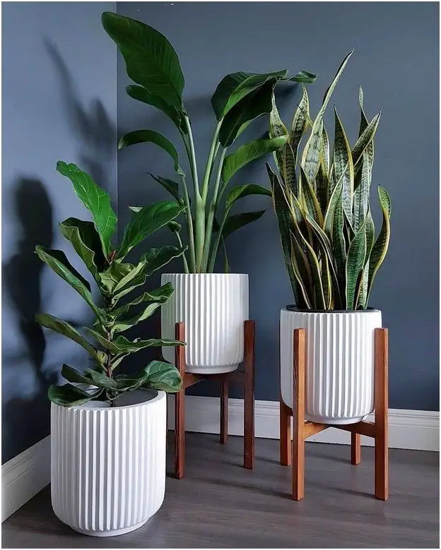 use-plant-stands