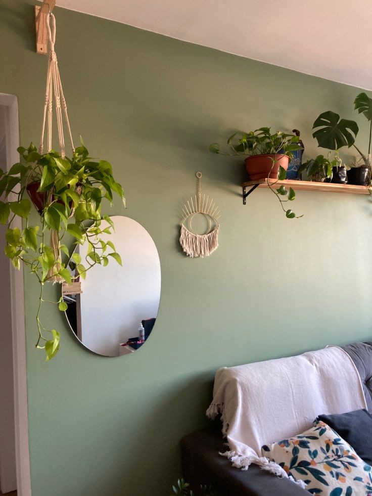 hanging-planters-ways-to-style-plants-in-a-small-apartment