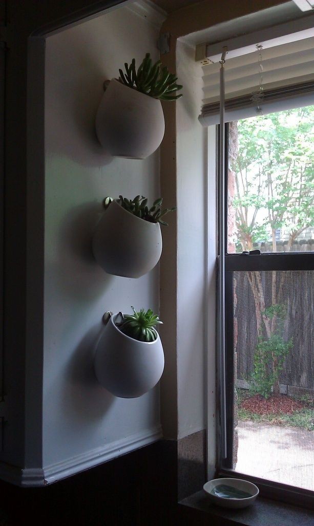 over-the-door-planters-ways-to-style-plants-in-a-small-apartment