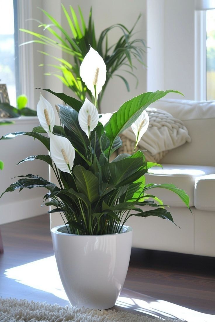 use-statement-planters-houseplant-styling-tips