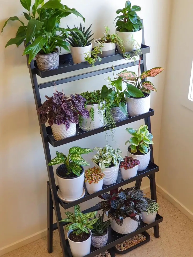 create-a-plant-ladder