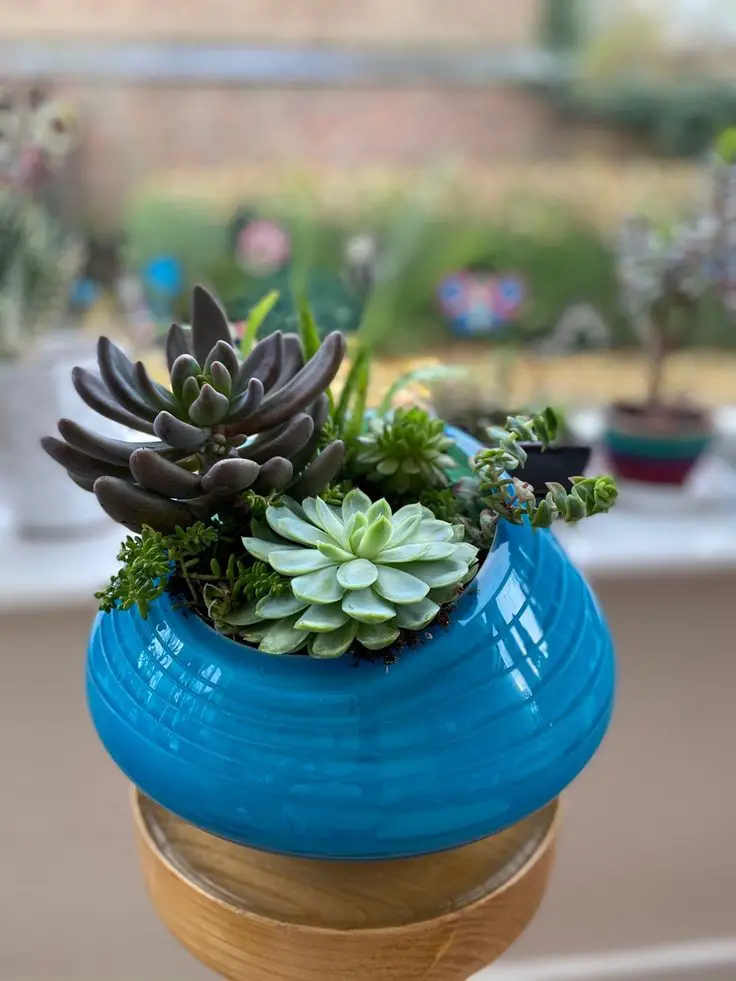 succulent-centerpieces-ways-to-decorate-with-succulents