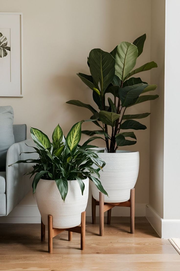 indoor-plants-as-one-of-eco-friendly-home-decor-ideas