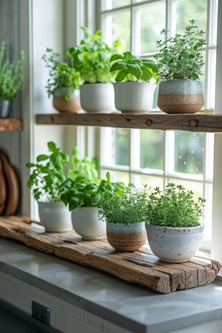 Kitchen-Herb-Garden