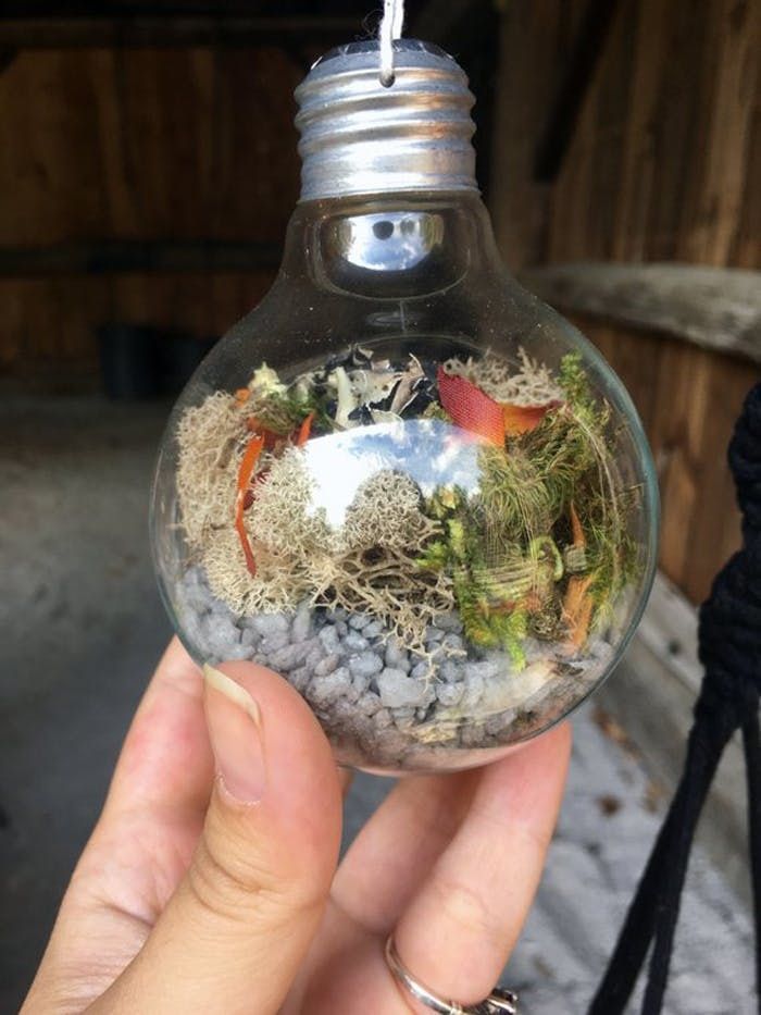 Lightbulb-Terrariums-as-one-of-budget-friendly-decor-ideas