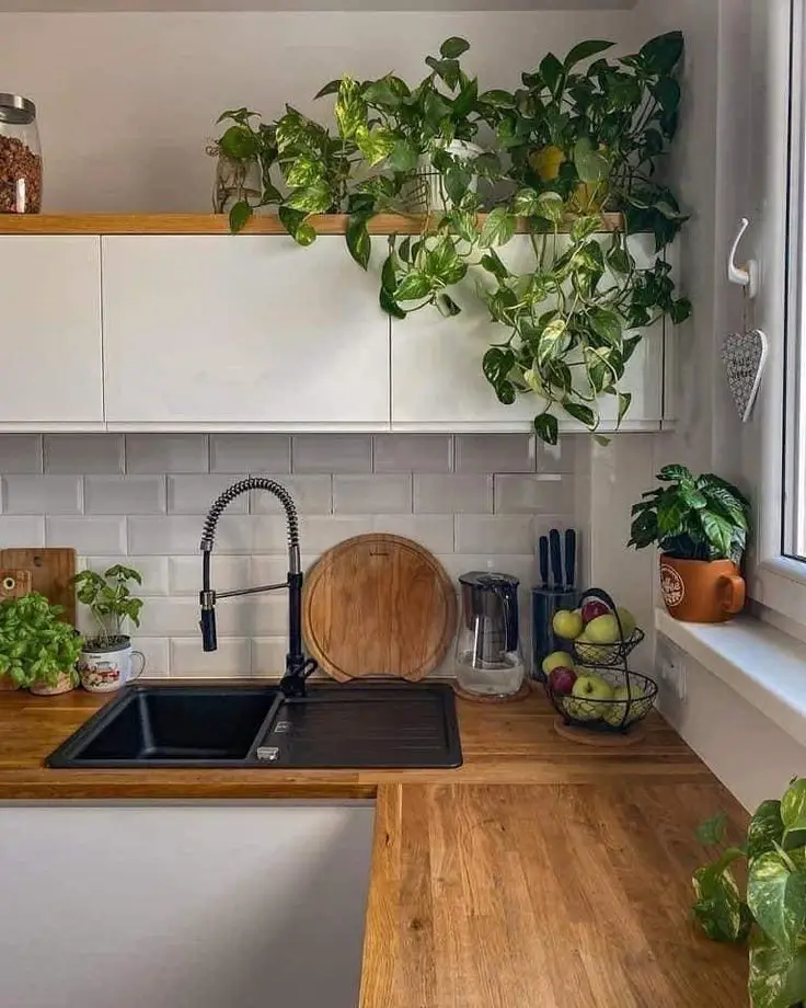 incorporate-plants-into-kitchen-decor