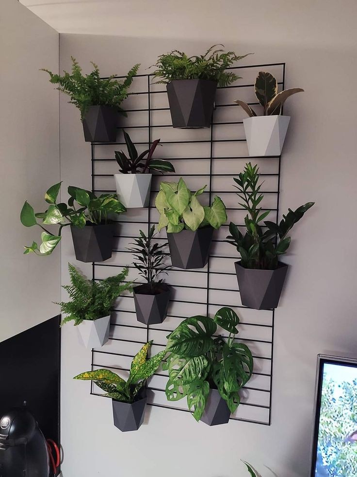 wall-mounted-planters