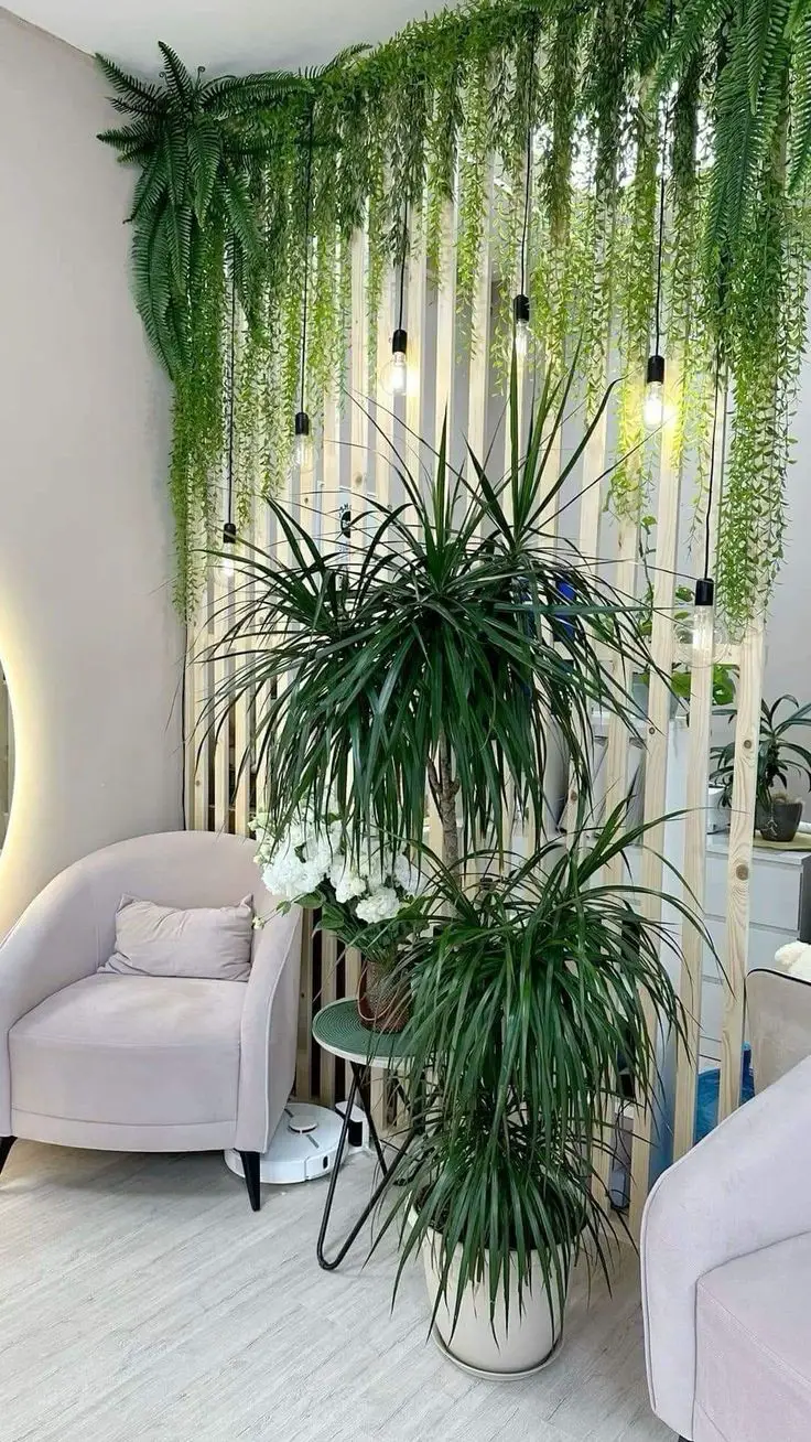 use-plants-as-room-dividers