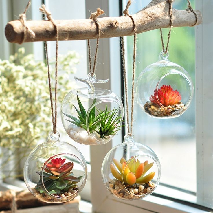 hanging-terrariums