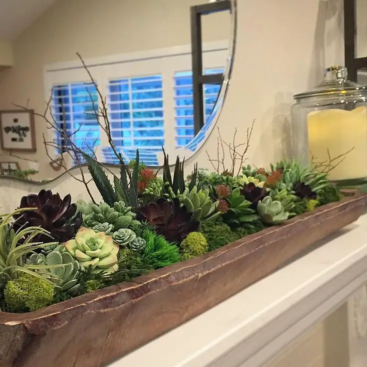 succulent-mantel-decor