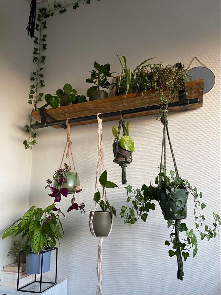 incorporate-hanging-plants-shelves