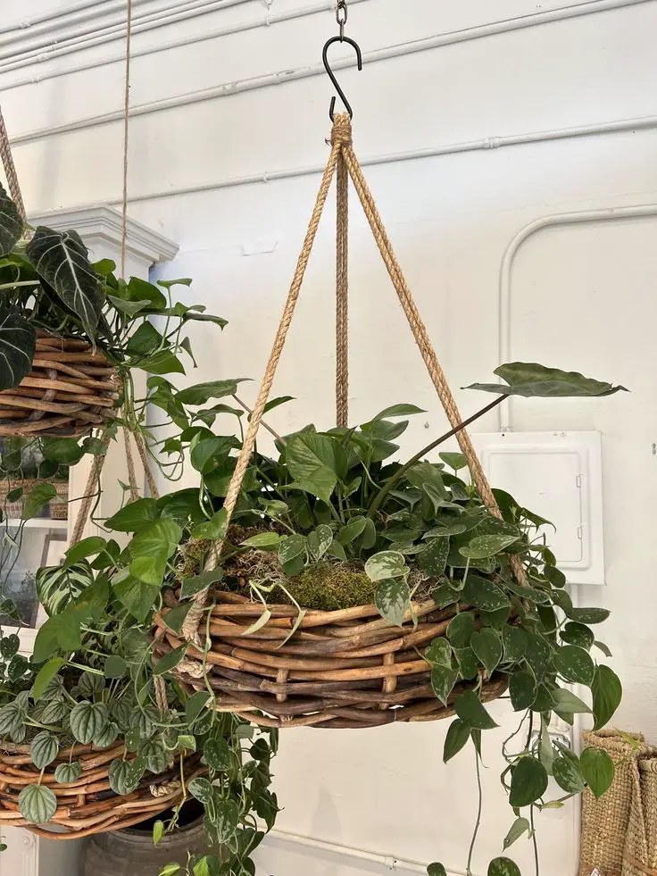 incorporate-plants-into-hanging-baskets