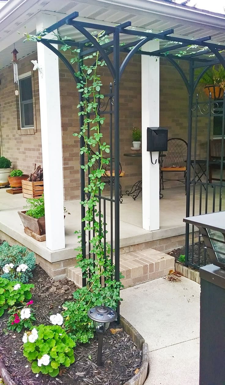 install-simple-trellis-or-arbor