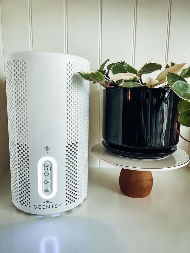 choose-stylish-smart-air-purifiers