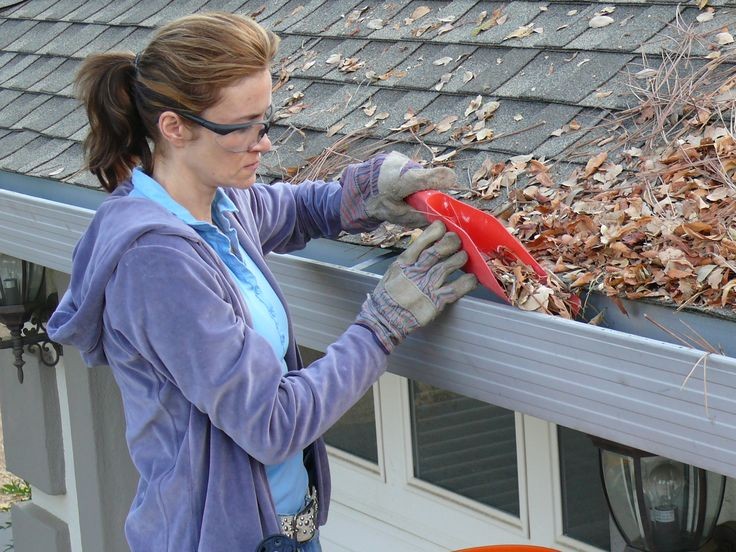 clean-gutters-and-downsprouts