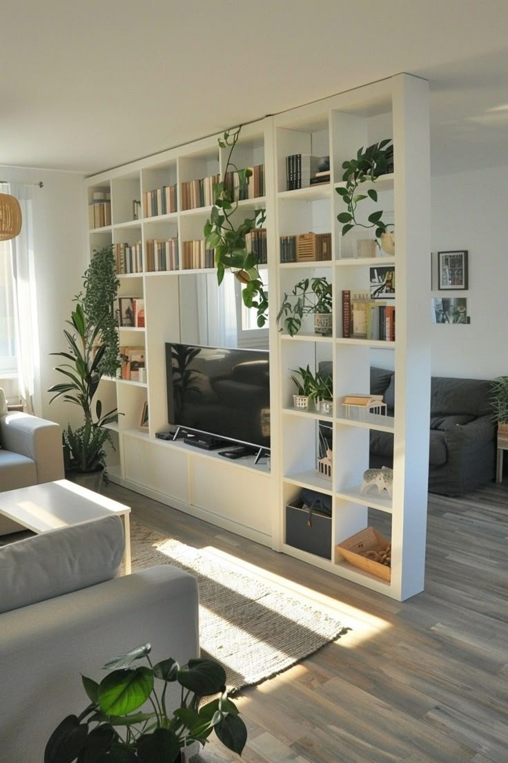 bookshelf-room-divider