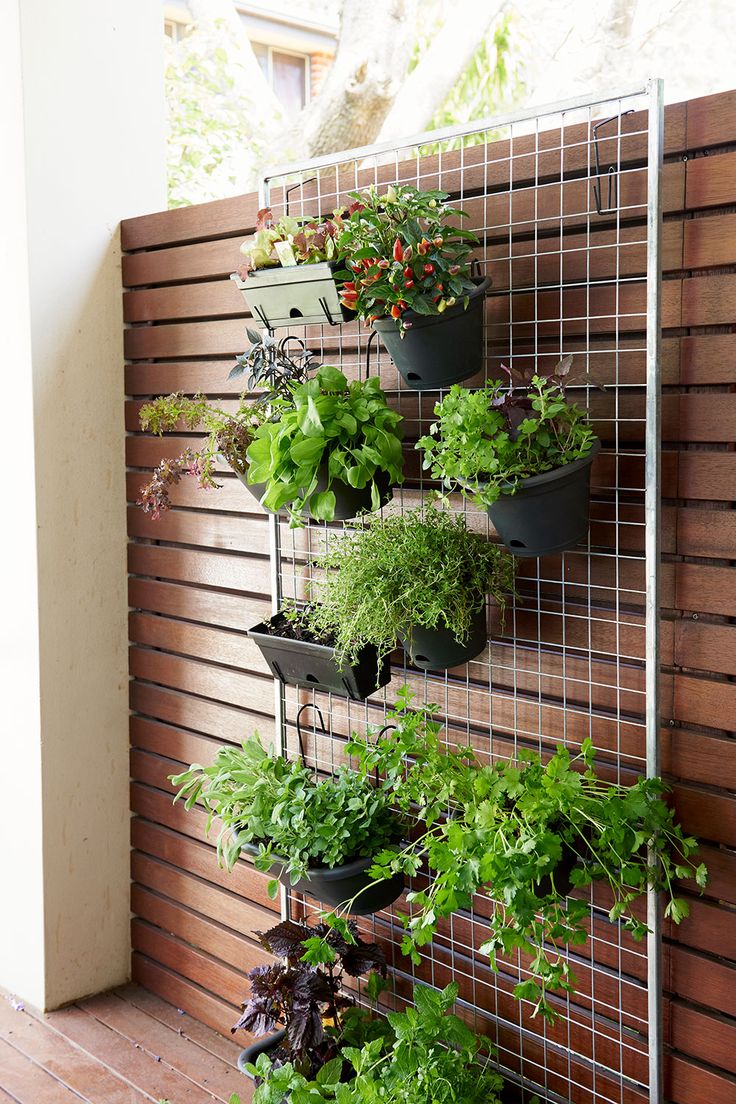 Living-Walls-and-Vertical-Gardens.