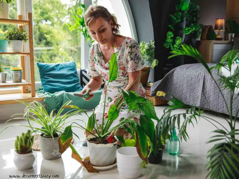 Bring- in- Natural- Elements