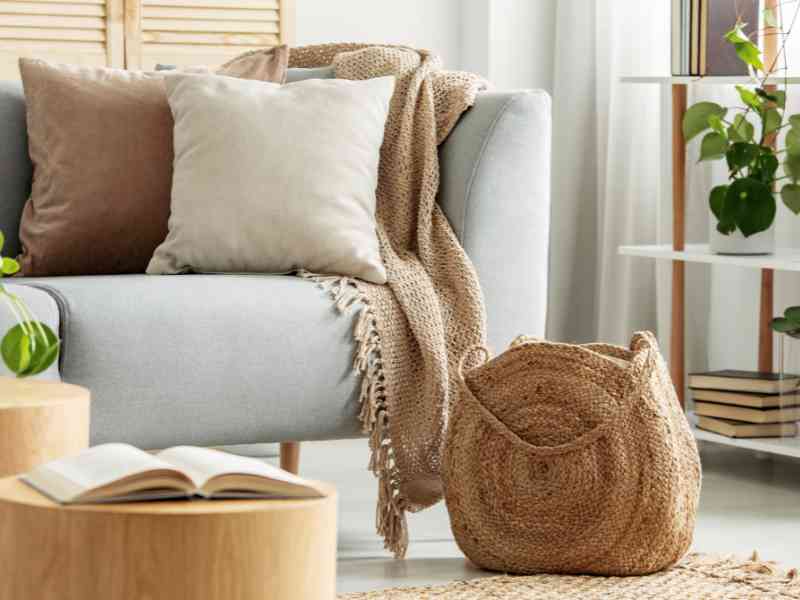 Living-Room-Organization.